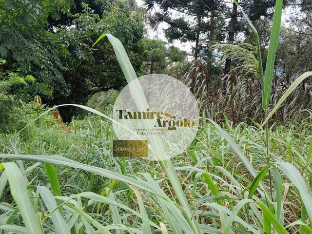 Terreno para Venda em Cajamar - 5